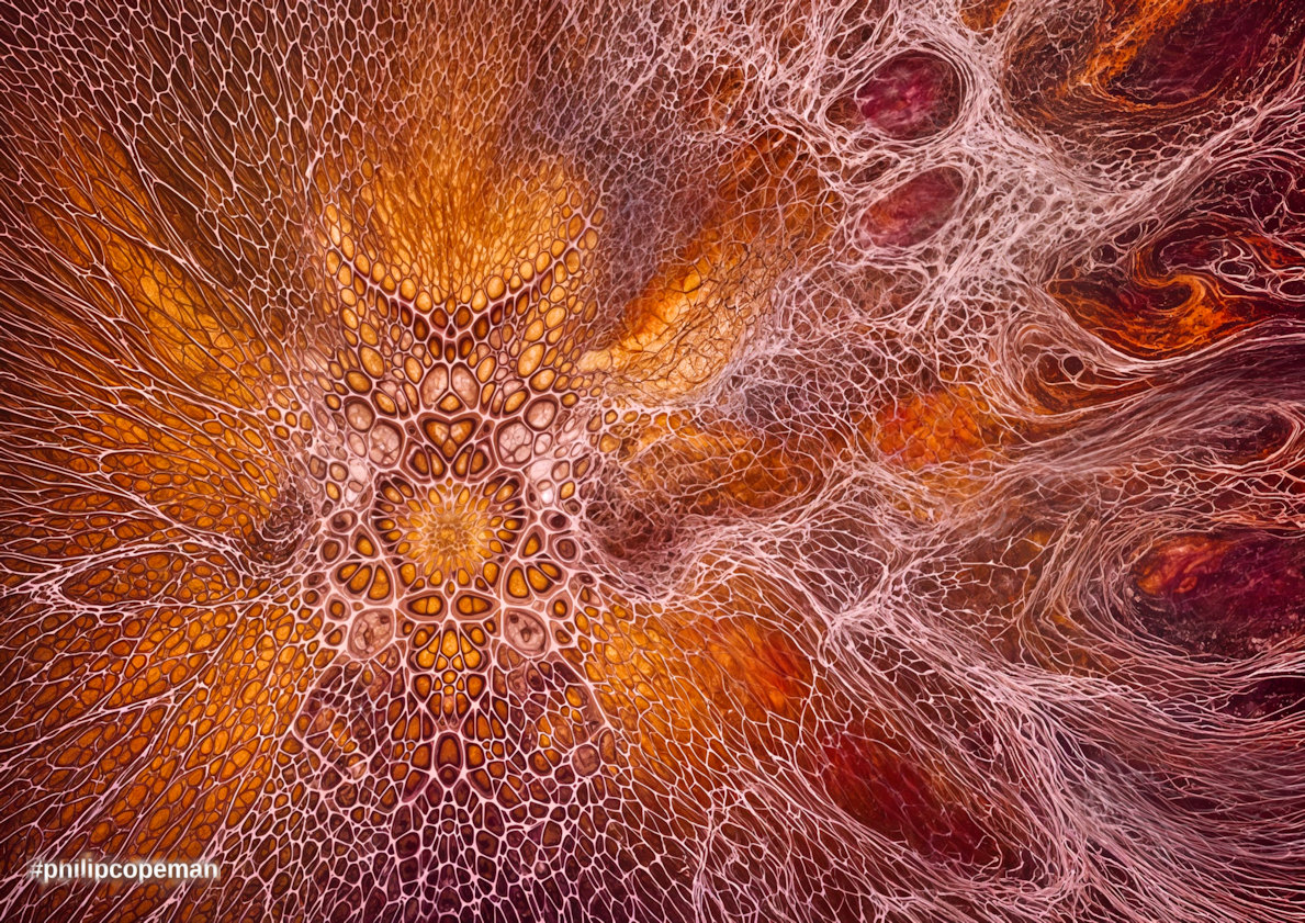 Samurai Sunrise